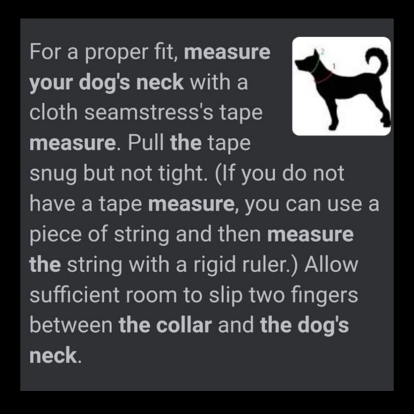 Dog Collar AKC Brown on Brown Bling - Picture 13 of 14